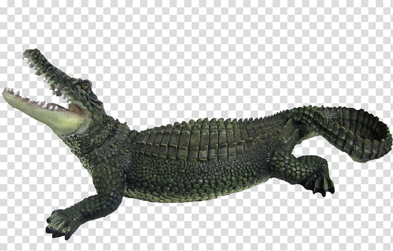 Crocodile transparent background PNG clipart