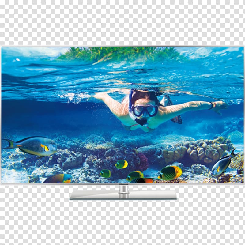 Ko Tao Sharm El Sheikh Snorkeling Whitsunday Islands Underwater diving, hotel transparent background PNG clipart