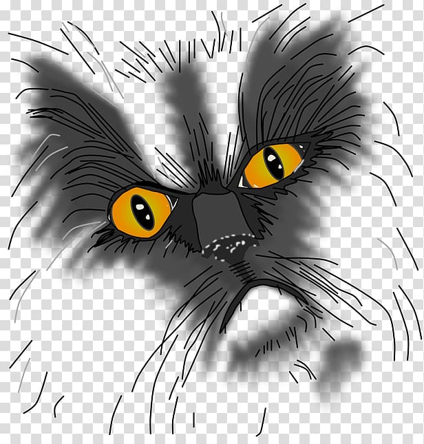 Whiskers Kitten Black cat Grumpy Cat, fooling around night transparent background PNG clipart