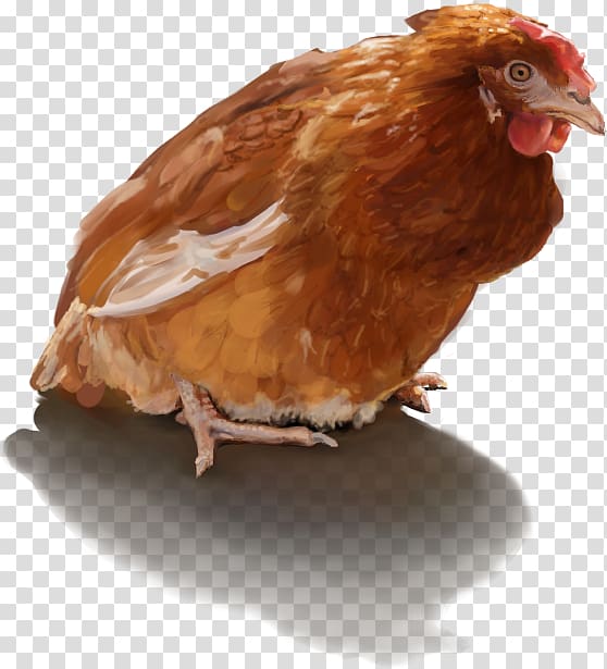 Chicken The Elder Scrolls V: Skyrim – Hearthfire Nexus Mods Egg, chicken transparent background PNG clipart