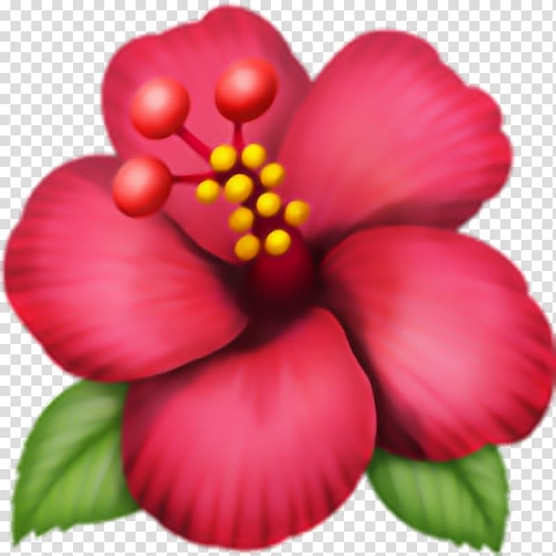 red Hibiscus flower , Emoji domain Hibiscus .ws, flor transparent background PNG clipart