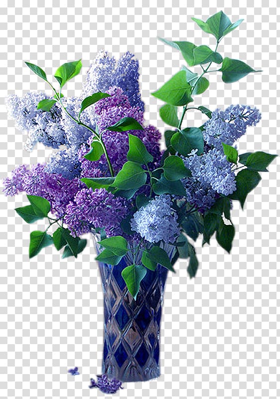 Violet, vase transparent background PNG clipart