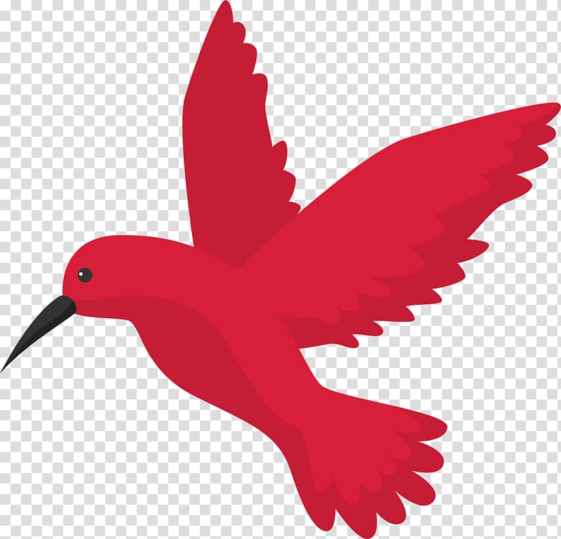 Google Hummingbird Algorithm Search engine optimization, Flying the bird transparent background PNG clipart