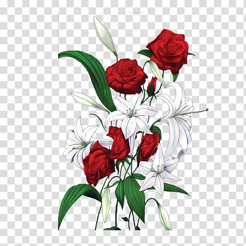 Garden roses Beach rose Red White, Red and white roses transparent background PNG clipart