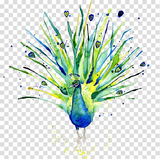 Peafowl Logo of NBC Watercolor painting, Watercolor Peacock transparent background PNG clipart