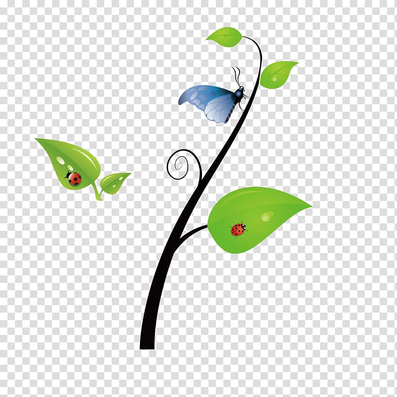 spring green leaves butterfly seven star ladybugs transparent background PNG clipart