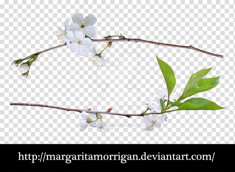 Liana Plants Portable Network Graphics Tree, plants transparent background PNG clipart