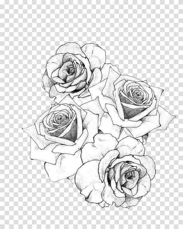 Tattoo artist Rose Flash, Tattoo, white rose illustrations transparent background PNG clipart