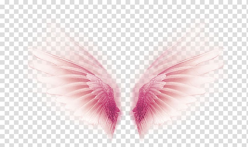 Wing, Pink fantasy wings decorative pattern transparent background PNG clipart