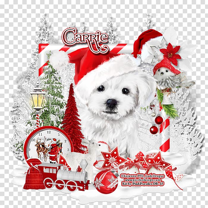 Dog breed Puppy Companion dog Christmas, creative christmas book transparent background PNG clipart