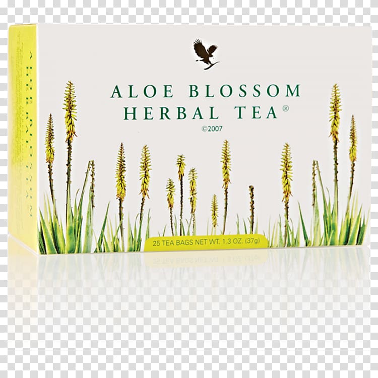 Herbal tea Forever Living Products Aloe vera, tea transparent background PNG clipart