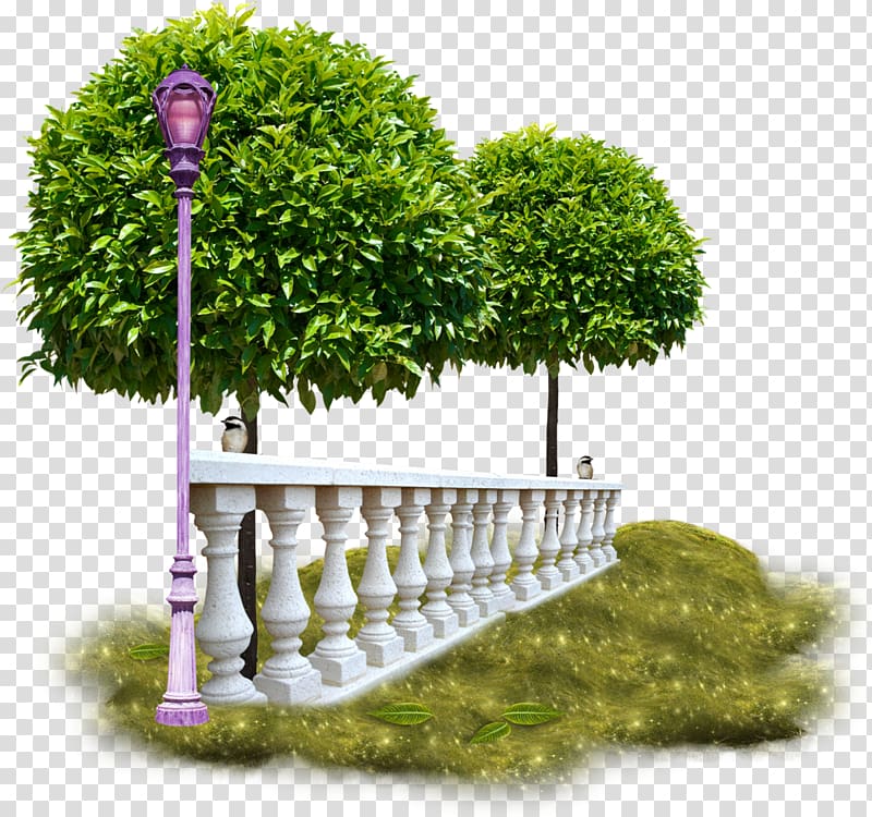 Gardening Trees for Small Gardens Flower garden, tree transparent background PNG clipart