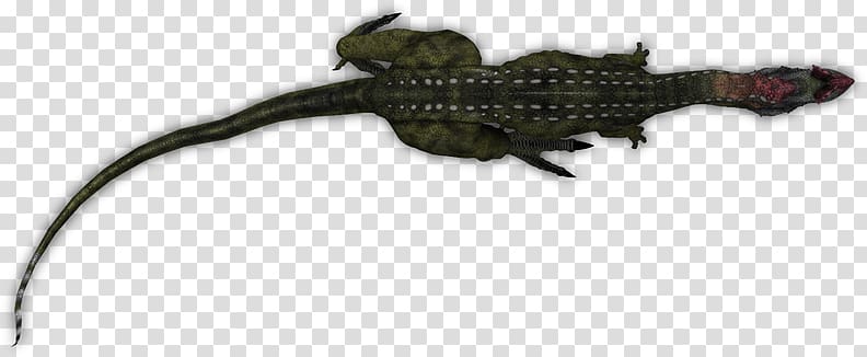 Lizard Amphibian Crocodiles Tail Animal, lizard transparent background PNG clipart