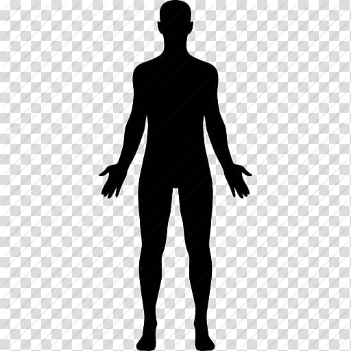 person illustration, Human body Computer Icons Anatomy Homo sapiens, Human Icon transparent background PNG clipart