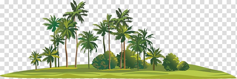 Tropical Islands Resort Game Burning Mondays Asian palmyra palm, hainan island transparent background PNG clipart