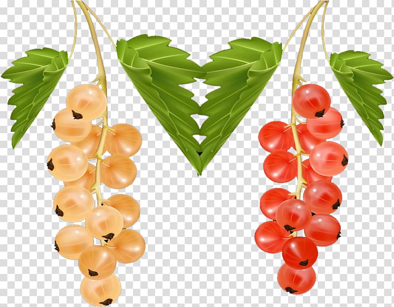 Blackcurrant Berry Redcurrant White currant, Cherry transparent background PNG clipart