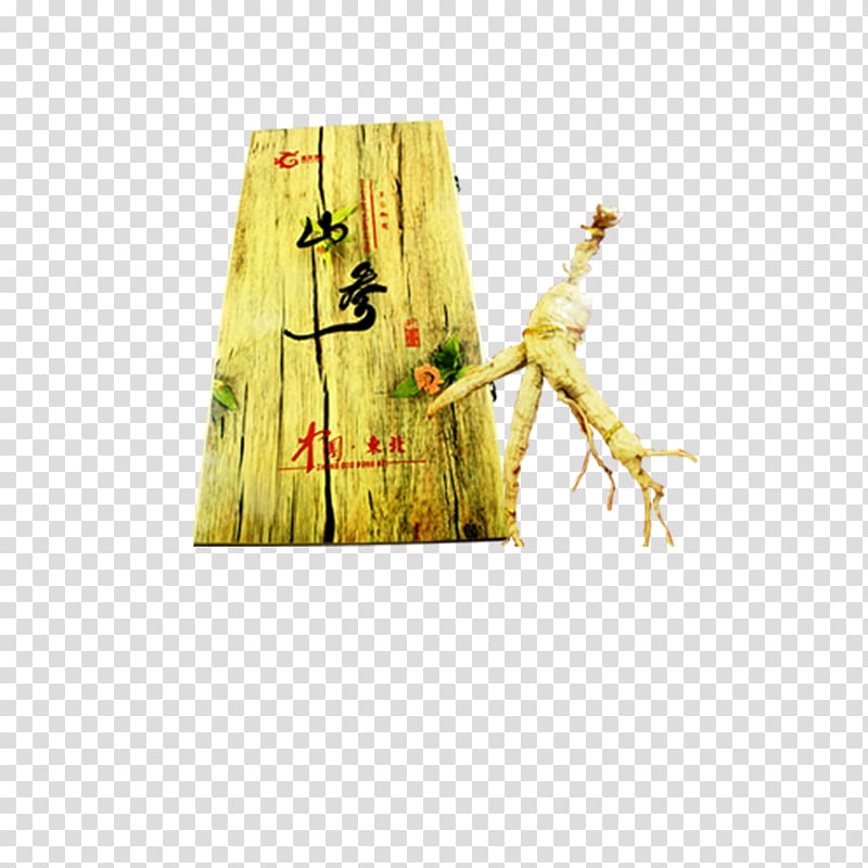 .xchng, Mountain ginseng material transparent background PNG clipart