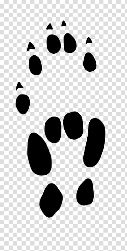 Paw Computer mouse Cat , paw prints transparent background PNG clipart