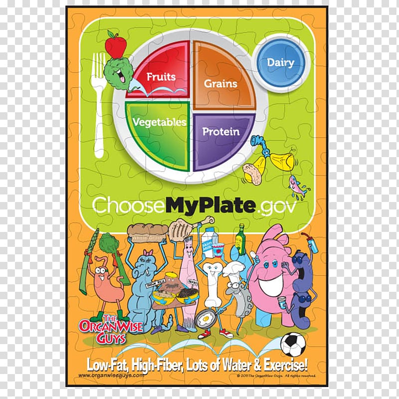 ChooseMyPlate Food pyramid Food group, health transparent background PNG clipart