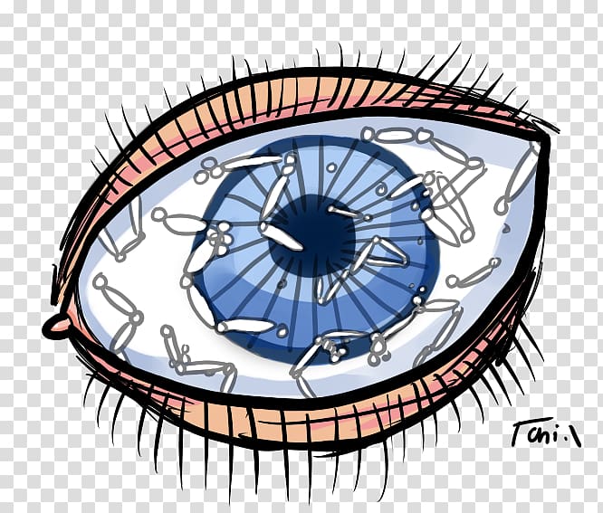 Human eye Floater Iritis Uveitis, Eye transparent background PNG clipart