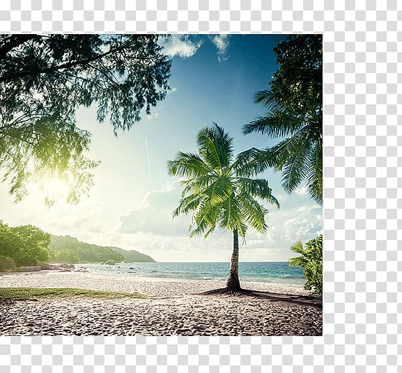 Anse Lazio Mahé, Seychelles Beach , 14th February transparent background PNG clipart