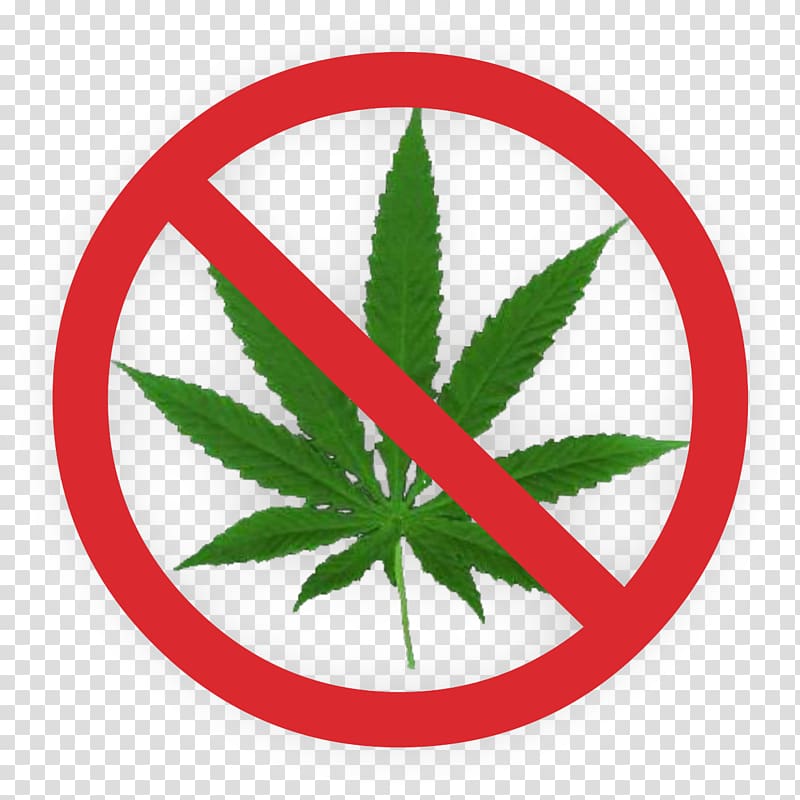 Cannabis smoking Leaf Legalization Medical cannabis, Drugs transparent background PNG clipart