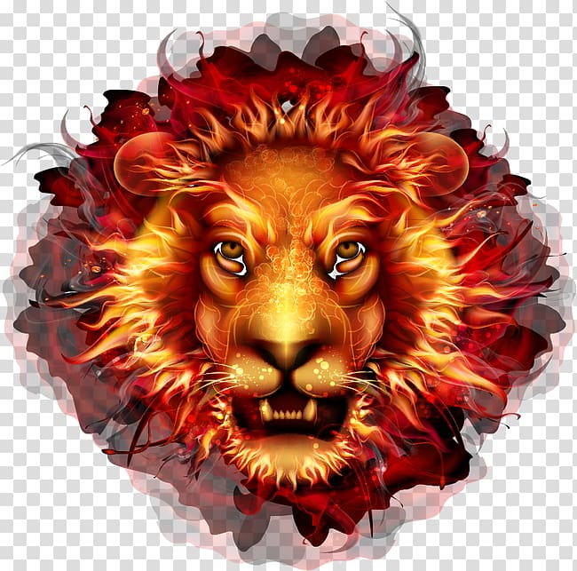burning lion illustration, Lionhead Fire Flame, lion transparent background PNG clipart