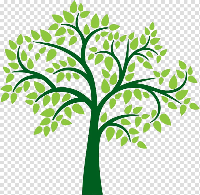 Family tree , tree transparent background PNG clipart