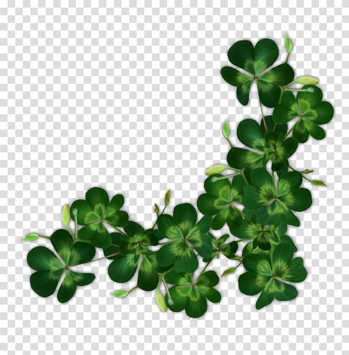 Saint Patrick\'s Day Shamrock Ireland Irish people, saint patrick\'s day transparent background PNG clipart