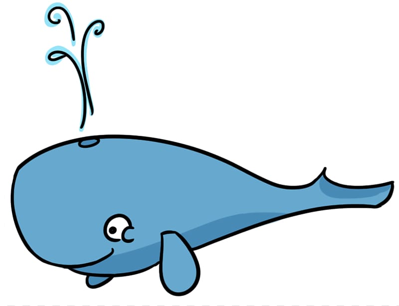 Sperm whale Blue whale Free content , Echidna transparent background PNG clipart