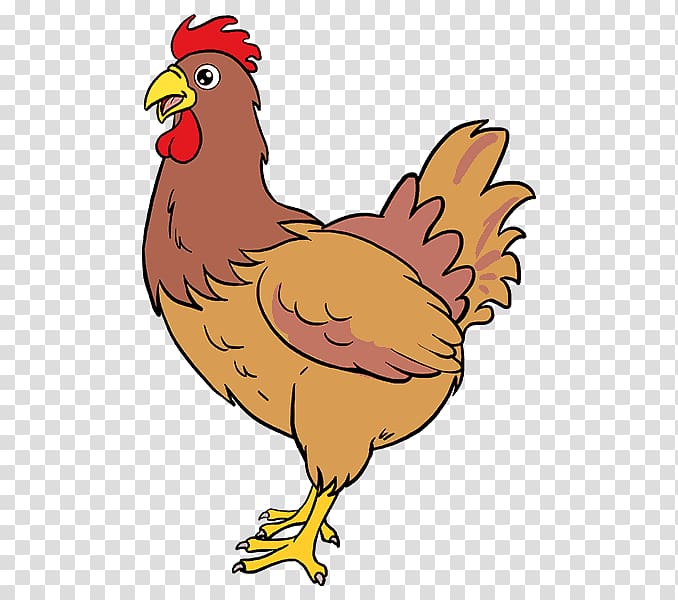 Brahma chicken Drawing Rooster Chicken meat, chicken transparent background PNG clipart
