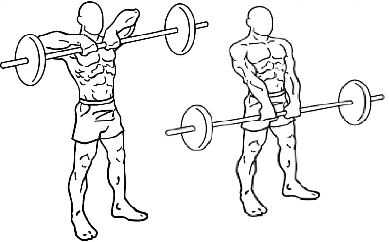 Upright row Barbell Physical exercise Shoulder shrug, dumbbell transparent background PNG clipart