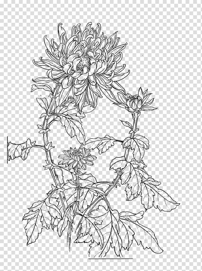 flowering plant sketch artwork, Gongbi u767du63cfu753b Chrysanthemum Chinese painting, chrysanthemum transparent background PNG clipart