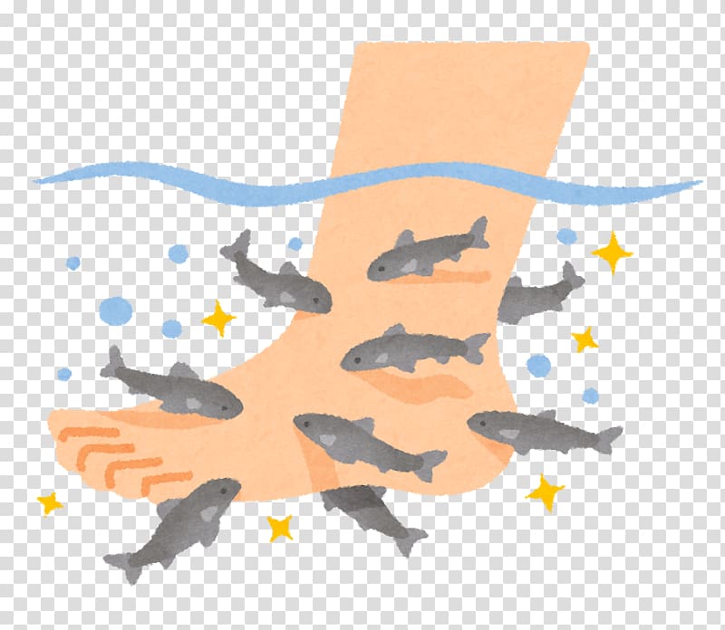 Doctor fish Foot Black carp, fish transparent background PNG clipart