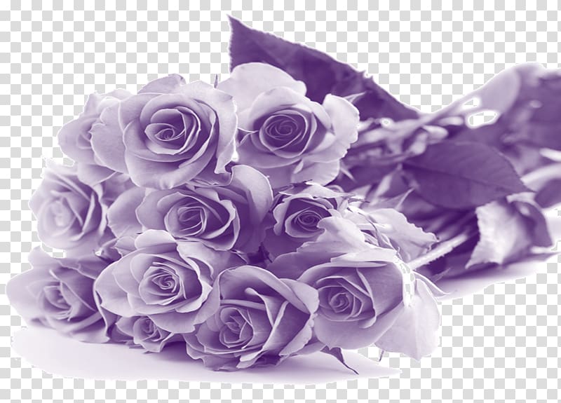 gray rose flowers illustration, Happy Mothers Day Purple Flowers transparent background PNG clipart