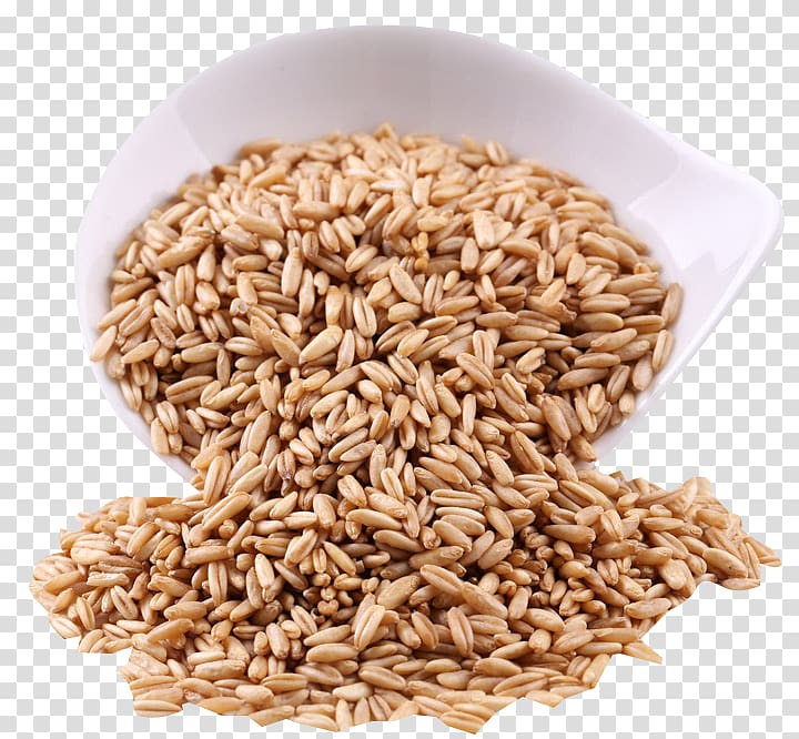 Oat Organic food Rice cereal Chinese cuisine Spelt, Full grain oat Pearl barley pull material Free transparent background PNG clipart