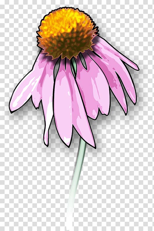 Drawing Death Open Graphics, black eyed susan transparent background PNG clipart