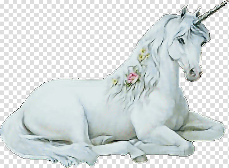 Unicorn Qilin Pegasus Fairy tale, unicorn transparent background PNG clipart