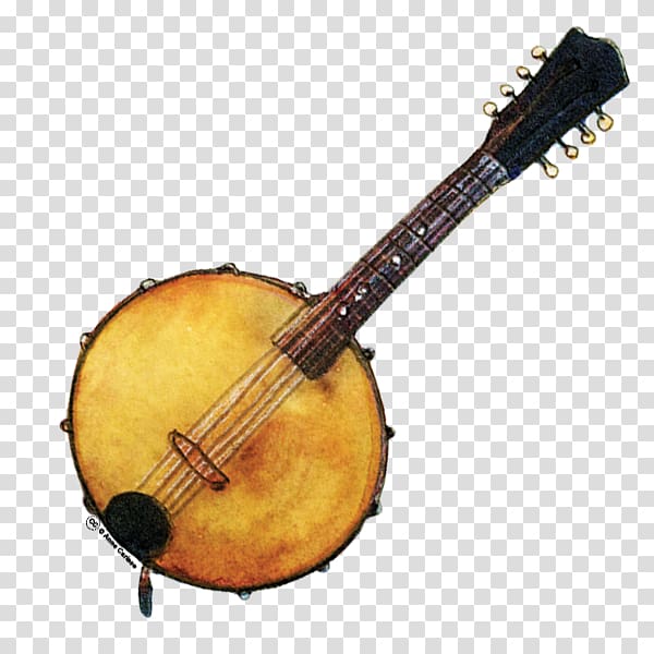Mandolin Acoustic guitar Acoustic-electric guitar Banjo guitar Tiple, Acoustic Guitar transparent background PNG clipart