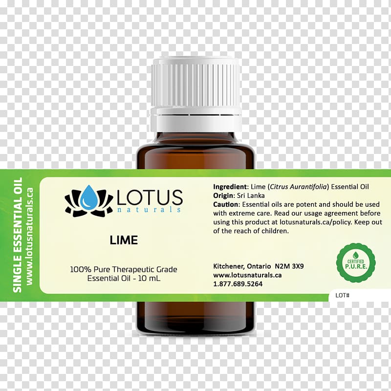 Essential oil Eucalyptus radiata Orange oil Aroma compound, oil transparent background PNG clipart