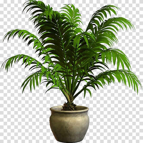 Houseplant Flowerpot, plant transparent background PNG clipart