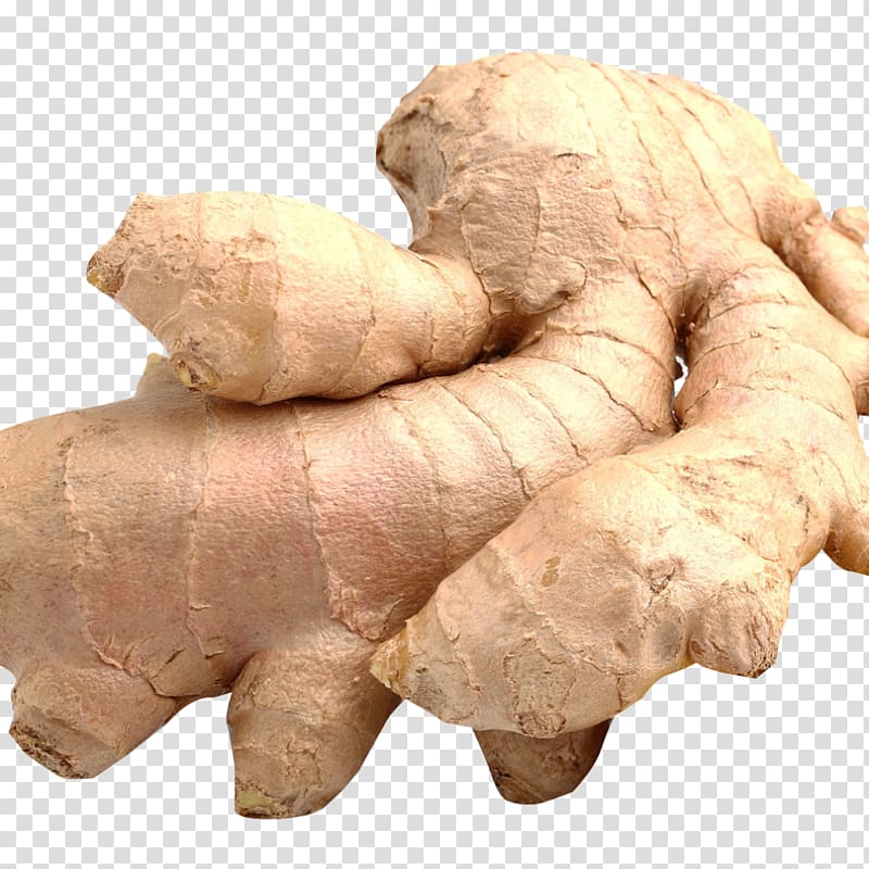 Galangal Thai cuisine Chutney Ginger Food, ginger transparent background PNG clipart