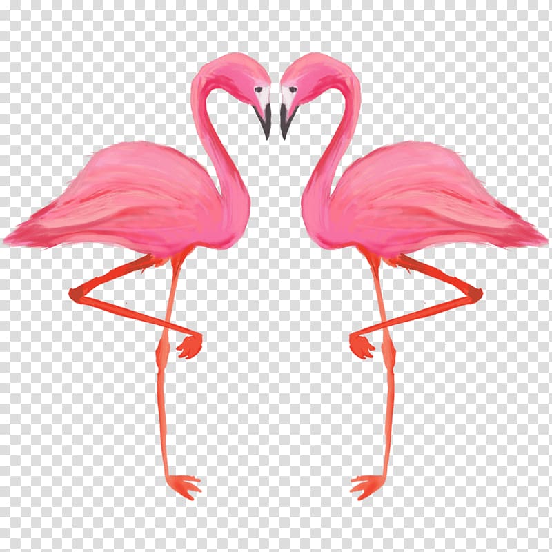 two pink flamingo painting, Bird Greater flamingo American flamingo, flamingo illustration transparent background PNG clipart