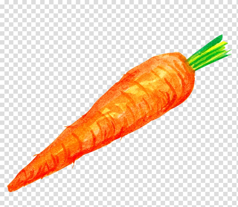 Carrot cake Vegetable Illustration, A carrot transparent background PNG clipart