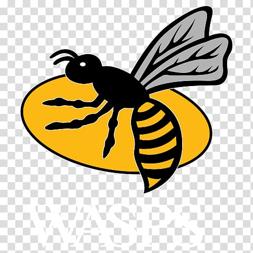 Wasps RFC English Premiership Wasps Ladies Wasps FC Ricoh Arena, others transparent background PNG clipart