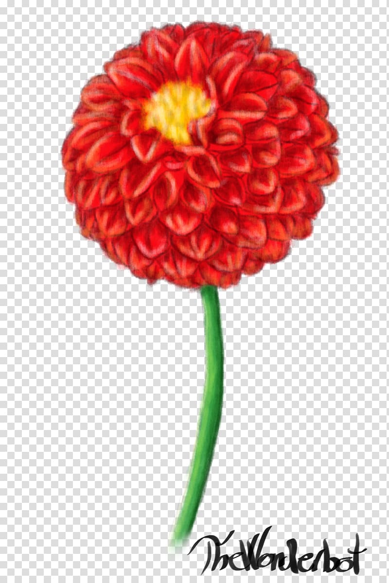 Red dahlia Petal Cut flowers, others transparent background PNG clipart