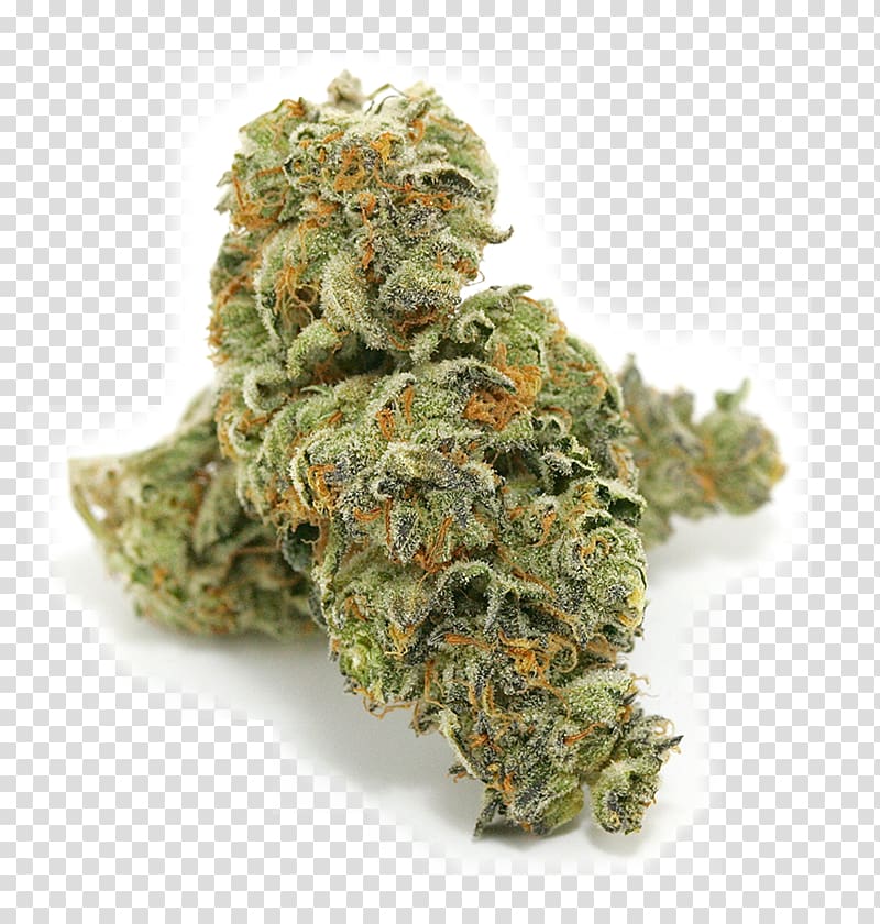 Medical cannabis Kush Dispensary Cannabis shop, cannabis transparent background PNG clipart