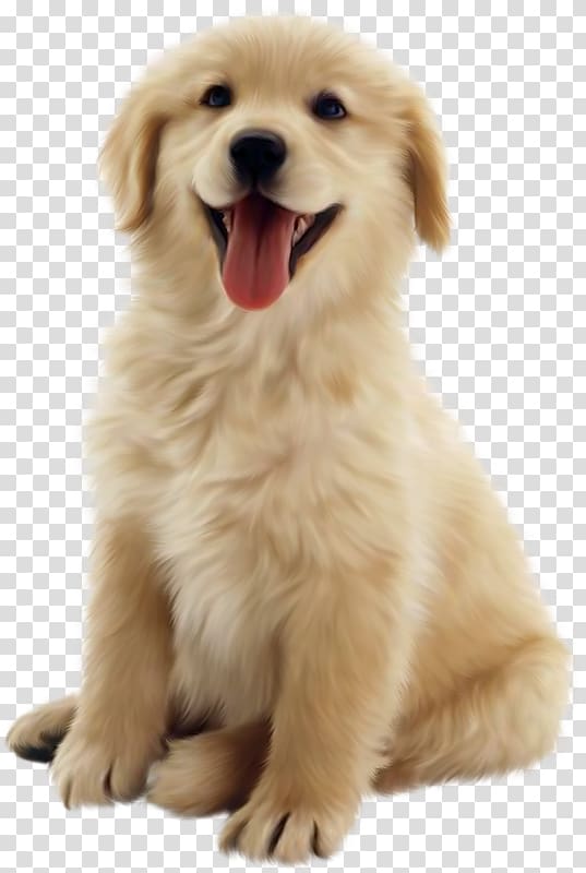 dog transparent background PNG clipart