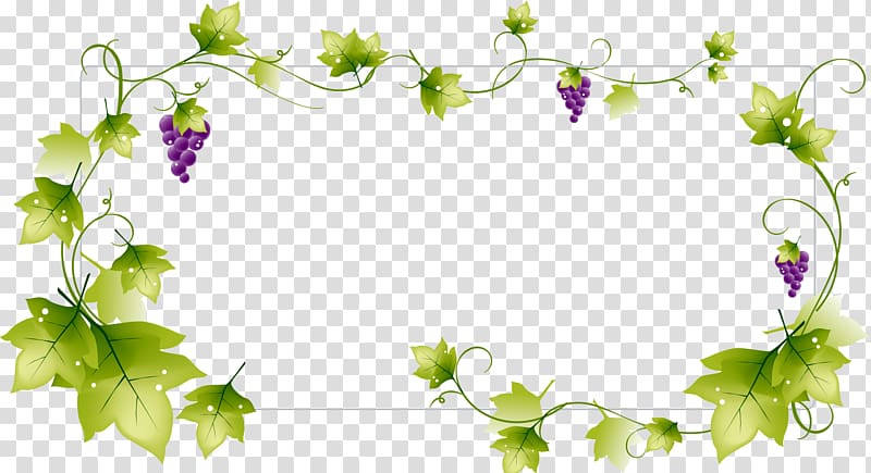 Wine Common Grape Vine Green, fall season transparent background PNG clipart