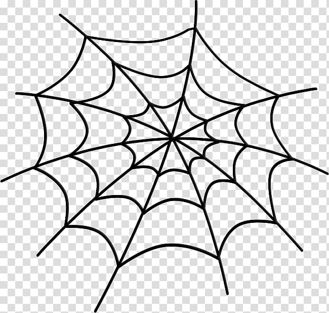 Spider web Black house spider Southern black widow, spider transparent background PNG clipart
